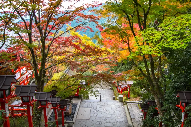 kurama-temple-autumn-colors-800